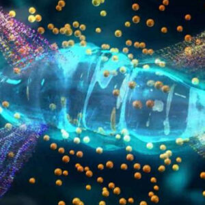 Microcurrent EMS Facelift